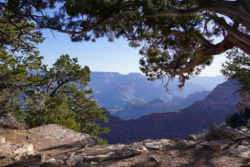 Illustration for article titled Grand Canyon - South Rim Style